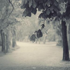 流萤的秘密同人游戏
