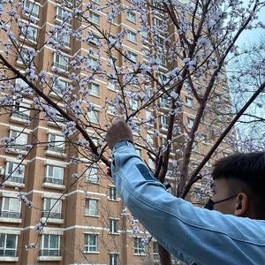 流萤的秘密同人游戏
