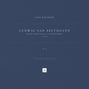 流萤的秘密同人游戏
